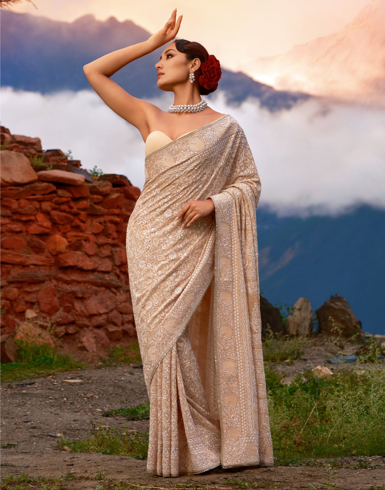 Nawabi Pearl Embellished Lucknowi Saree