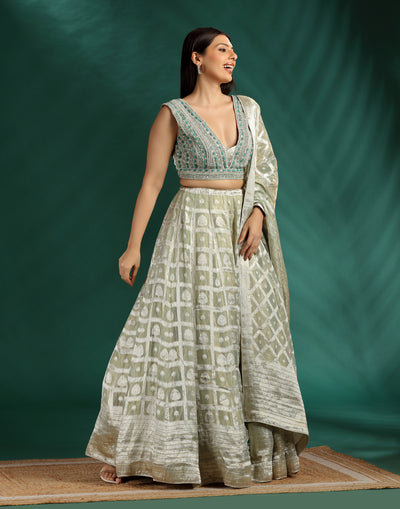 Pacific Pine Embellished Blouse With Printed Organza Lehenga Set