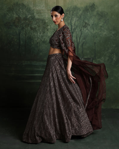 Copper Blaze Embellished Lehenga With Cape Jacket Set