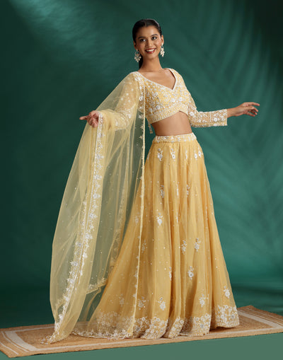 Daisy Dew Pearl Embellished Lehenga Set