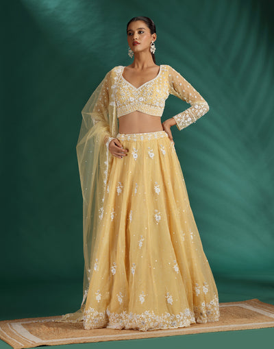Daisy Dew Pearl Embellished Lehenga Set