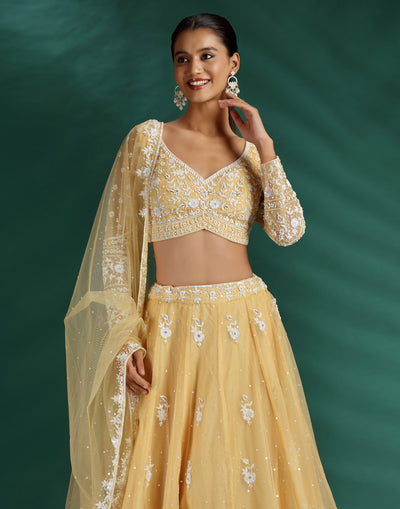 Daisy Dew Pearl Embellished Lehenga Set