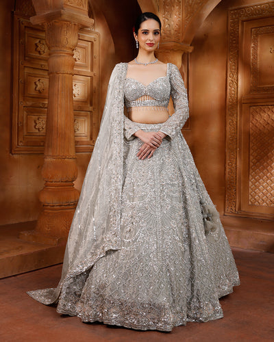 Pale Shimmer Green Net Embellished Lehenga For Sangeet