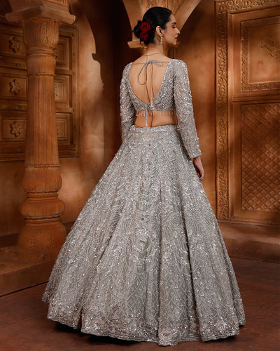 Pale Shimmer Green Net Embellished Lehenga For Sangeet
