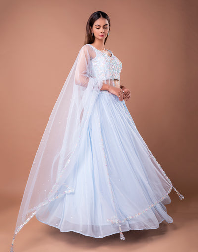 Sky Blue Lehenga in Sequin and Stone Work
